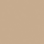 camel-8-tournus