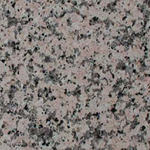rosa-porino-2-tournus