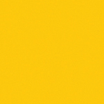 tournesol-3-tournus
