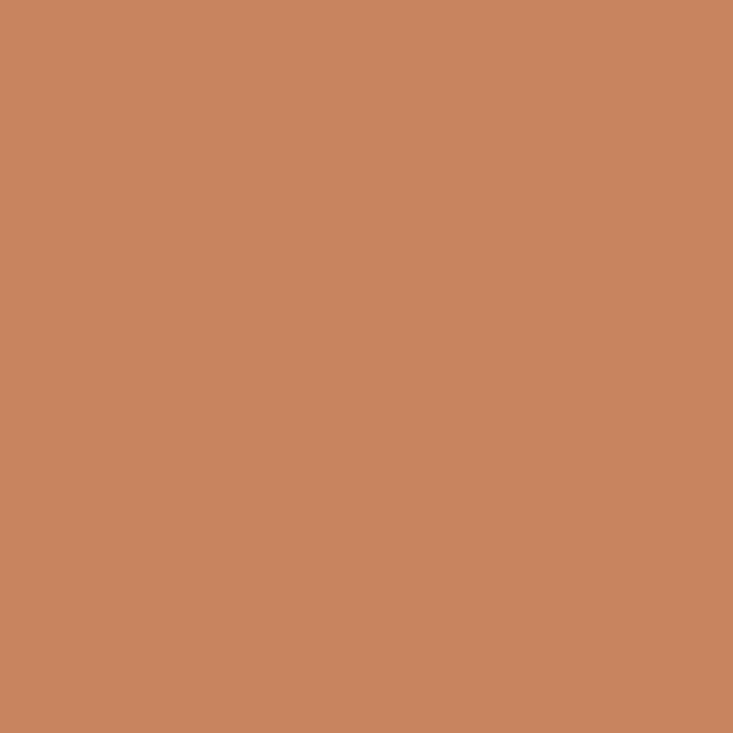 6-Terracotta nude_U830ST9